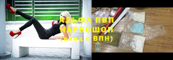 молекула духа Богданович